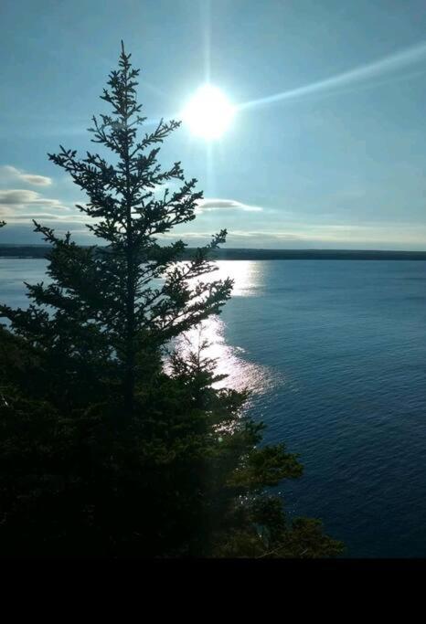 Family Friendly Cottage ☆Walking Distance To Beach Лайънс Хед Екстериор снимка