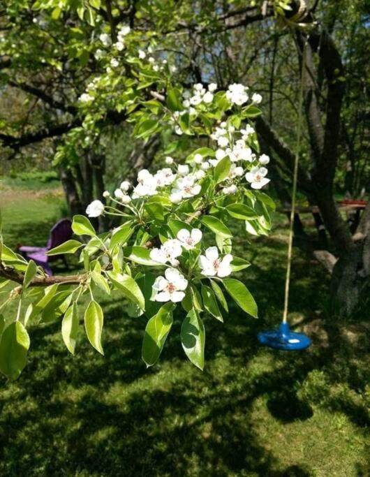 Family Friendly Cottage ☆Walking Distance To Beach Лайънс Хед Екстериор снимка