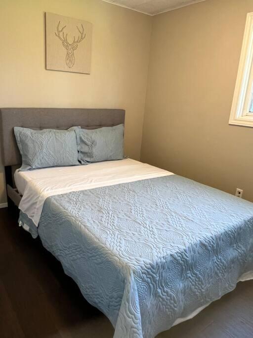 Family Friendly Cottage ☆Walking Distance To Beach Лайънс Хед Екстериор снимка